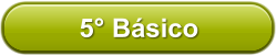 5 Bsico